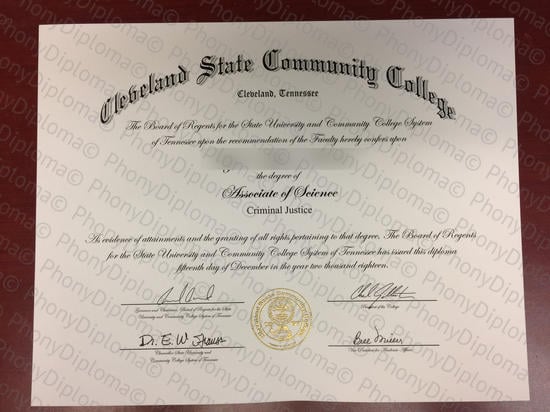 Usa Cleveland State Community College Free Sample From Phonydiploma · United States
