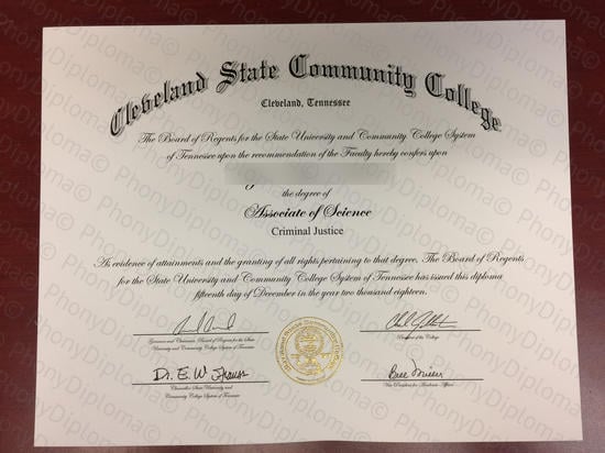 Usa Cleveland State Community College Photo Free Sample From Phonydiploma · United States