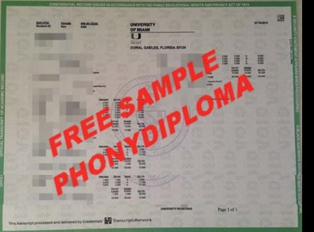 Usa Florida University Of Miami Actual Match Transcript Free Sample From Phonydiploma · United States