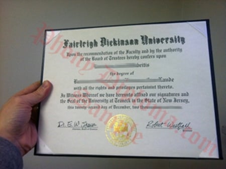 Usa New Jersey Fairleigh Dickinson University Free Sample From Phonydiploma · United States