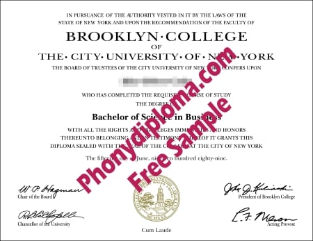 Usa New York Brooklyn College Free Sample From Phonydiploma · United States