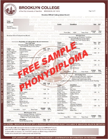 Usa New York Brooklyn College New York Actual Match Transcript Free Sample From Phonydiploma · United States