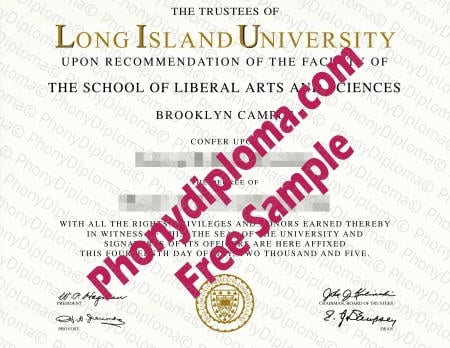 Usa New York Long Island University Free Sample From Phonydiploma · United States