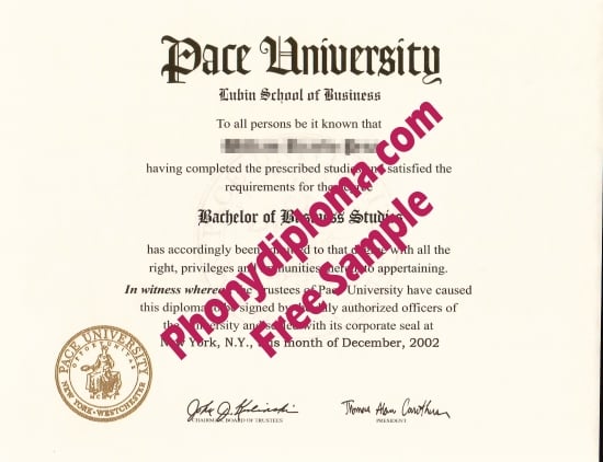 Usa New York Pace University Free Sample From Phonydiploma · United States