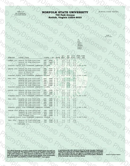 Usa Norfolk State University Actual Match Transcript Free Sample From Phonydiploma · United States