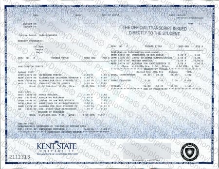 Usa Ohio Kent State Actual Match Transcript Free Sample From Phonydiploma · United States