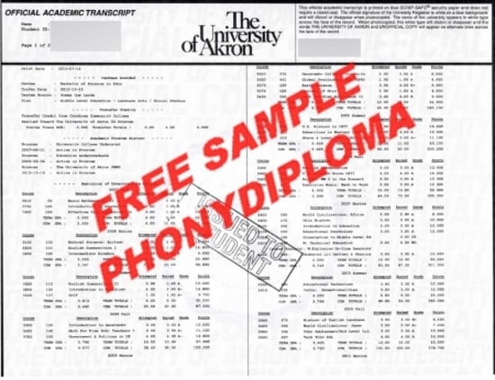 Usa Ohio The University Of Akron Actual Match Transcript Free Sample From Phonydiploma · United States