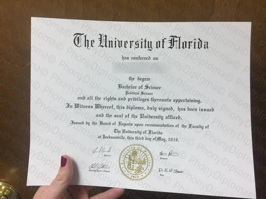 Usa University Of Florida Photo Free Sample From Phonydiploma · United States