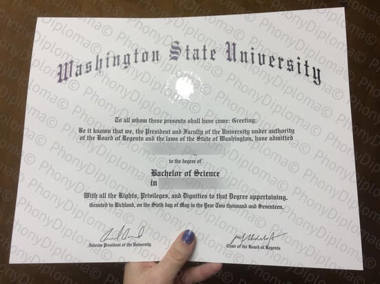 Usa Washington State University Free Sample From Phonydiploma · United States