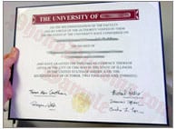 Request Your Free Sample Online for Custom Diplomas Degree