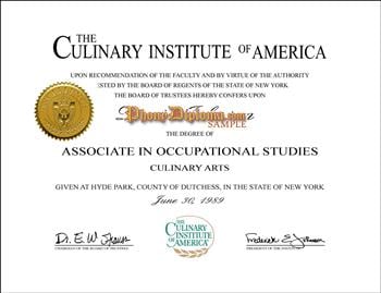 Culinary certificate sample