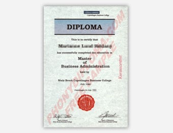 Niels Brock Copenhagen Business College sample