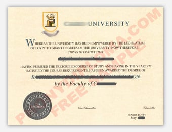 Cairo University sample