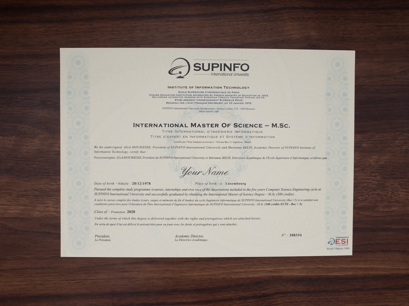SUPINFO International University sample