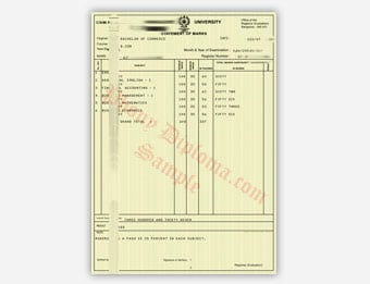 Bangalore University match transcript sample