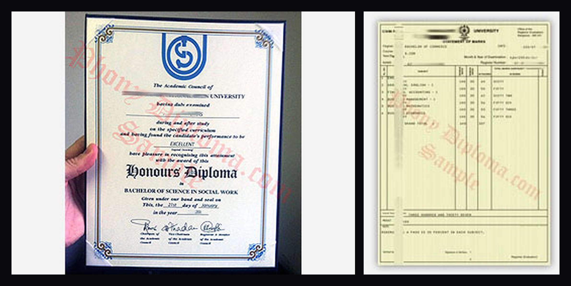 India college or university diploma and transcript sample