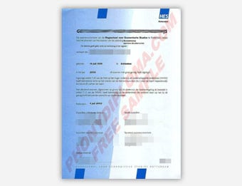 Getuigschrift Hoger Beroepsonderwijs sample