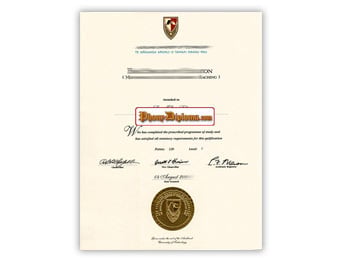 Auckland University of Technology sample
