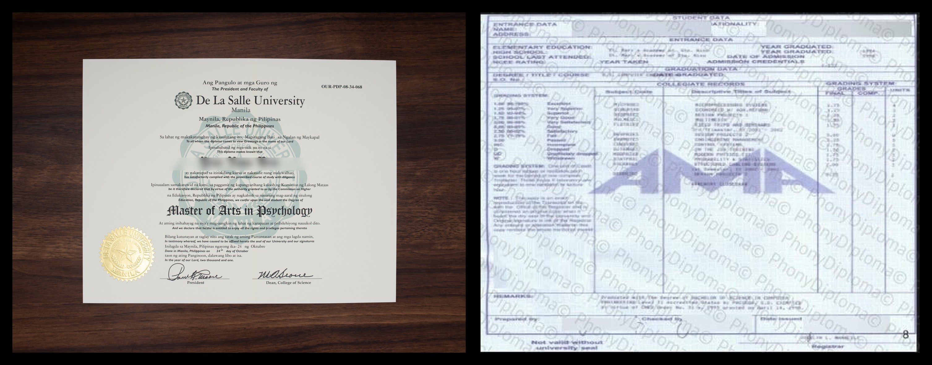 Philippines university diploma and transcript sample
