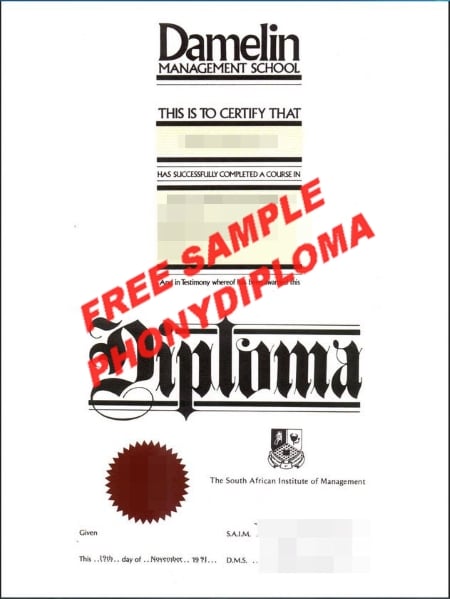 Damelin College sample