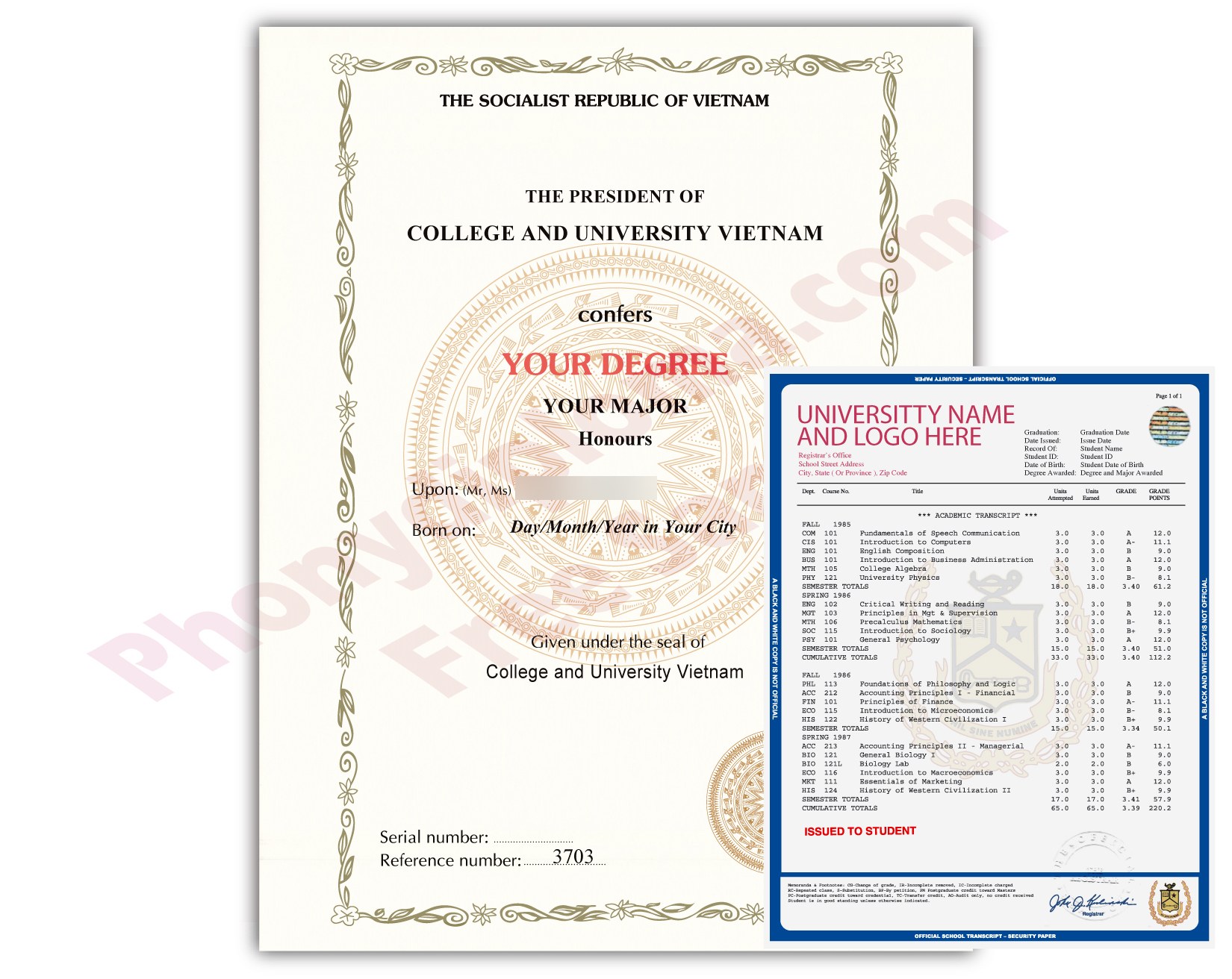 Vietnam college or university diploma and transcript sample