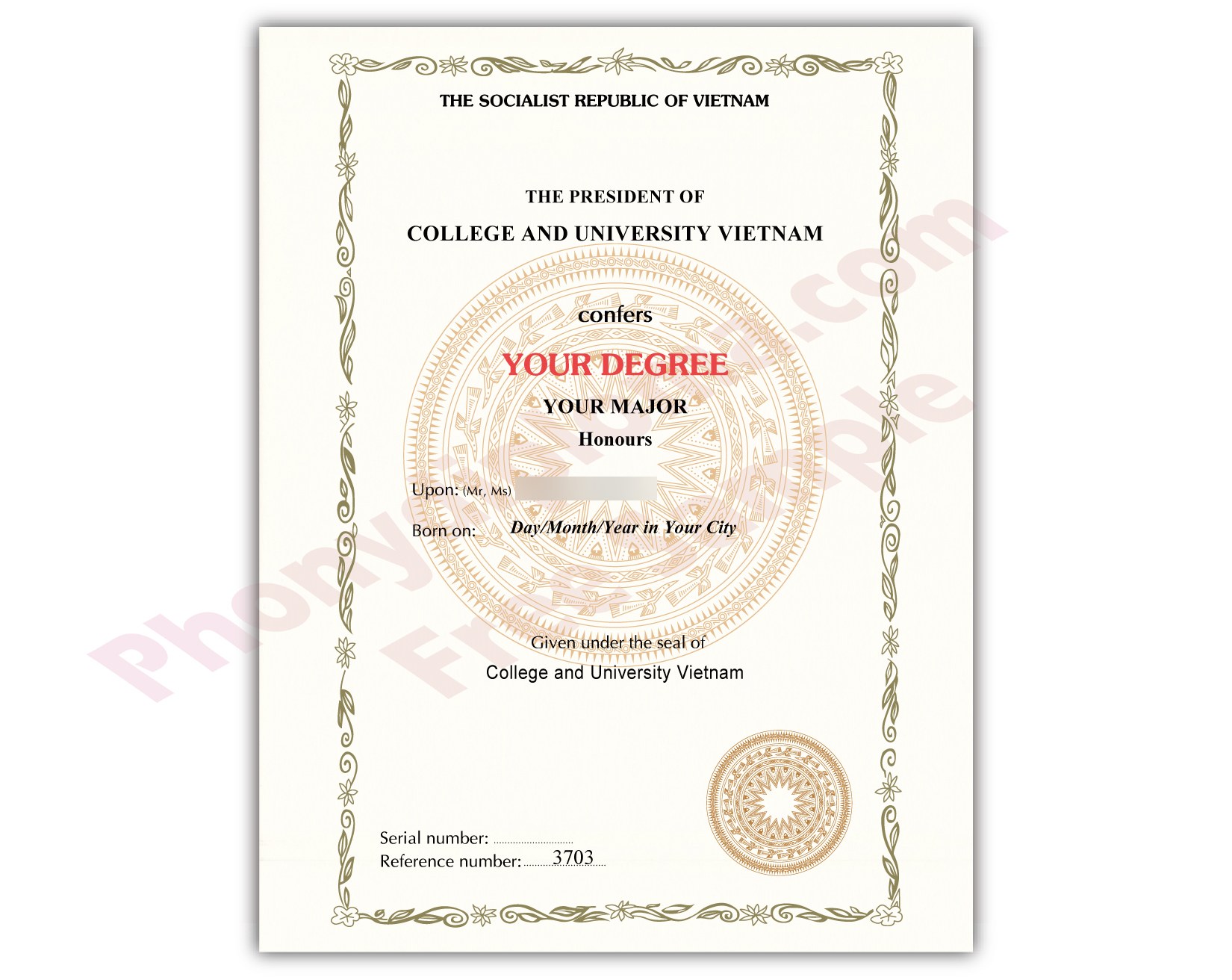 Vietnam college or university diploma sample