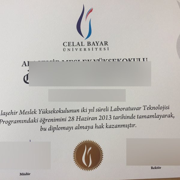 Turkey Manisa Celal Bayar Universitesi · Turkey